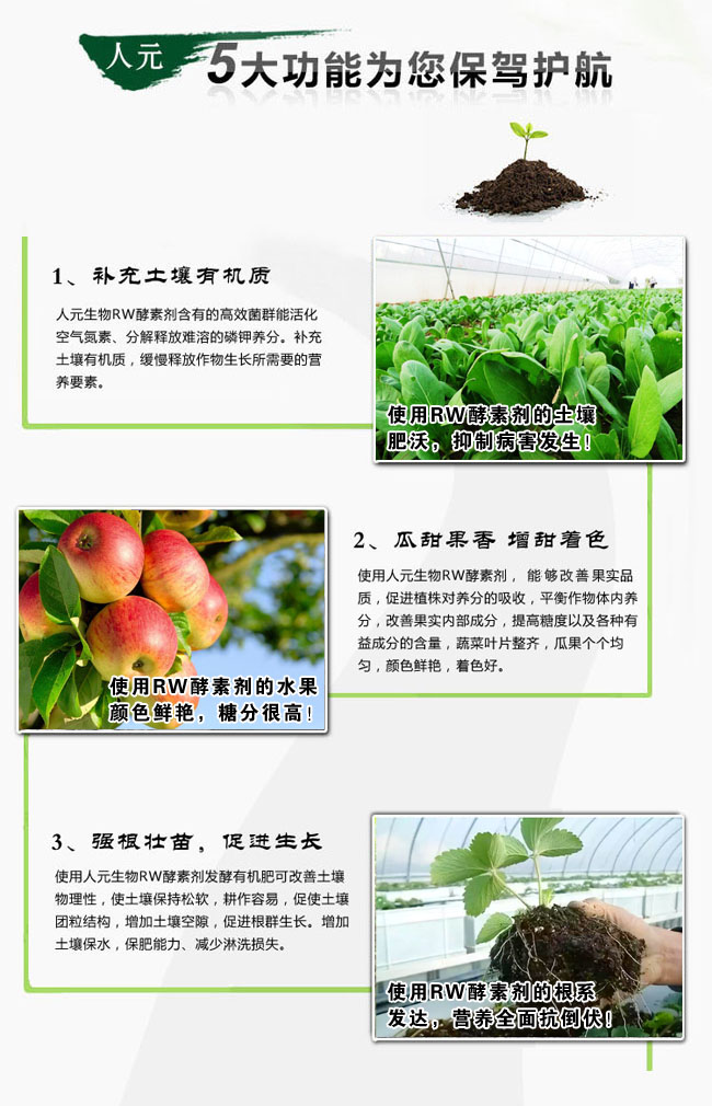 酵素發(fā)酵菌種_RW酵素劑_有機(jī)肥發(fā)酵劑產(chǎn)品優(yōu)勢